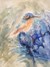 Hummingbird 1