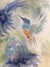 Hummingbird 2